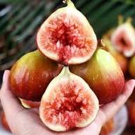 Burgundy Fig Seeds for Planting