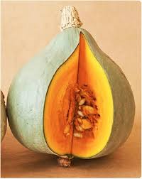 Blue Hubbard Squash Seeds for Planting vegetable patch