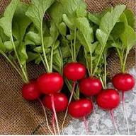Red Turnip Seeds for Your Vegetable Garden