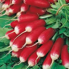 Radish Seeds for Planting - Vegetable Seeds