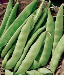 Grow Delicious Lima Beans | Easy Planting Seeds for Your Garden
