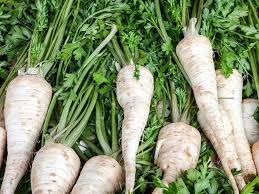 Hamburg Parsley Vegetable Seeds for Easy Planting