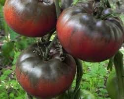 Black Brown Tomato Seeds for Planting