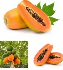 Orange Papaya Seeds for Planting  Grow Your Own Fruit