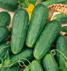 Octopus Cucumber Vegetable Seeds for Planting