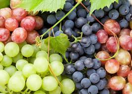 Mixed Grape Fruit Planting Seeds - Diverse & Delicious Grapes for Your Garden
