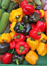 Bell Vegetable Seeds - Perfect for Home Gardening