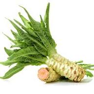 Celtuce Seeds for Planting | Grow Your Own Vegetable