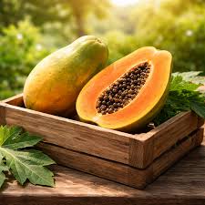 Orange Papaya Seeds for Planting  Grow Your Own Fruit