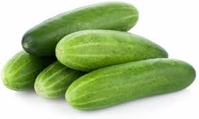 Benincasa Vegetable Seeds Planting Guide: Year-Round Growing Made Easy