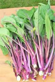 Purple Kosaitai Vegetable Seeds for Planting