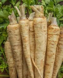 Hamburg Parsley Vegetable Seeds for Easy Planting