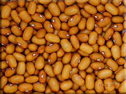 Swedish Brown Beans Vegetable Seeds for Planting