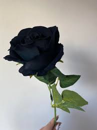 Black Rare Rose Flower Seeds for Planting Cut Flower Favorite Heirloom & GMO Free Seeds for Home Garden
 
 Sale