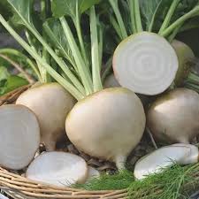 White Beet Vegetable Seeds for Easy Planting