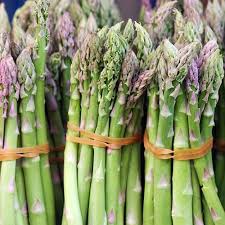 Asparagus Seeds for Planting - Premium Vegetable Garden Seeds