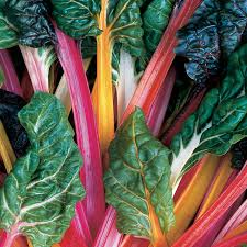 Mixed Swiss Vegetable Seeds for Your Garden