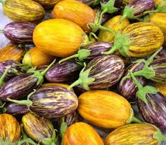 Udumalpet Eggplant Vegetable Seeds for Easy Planting
