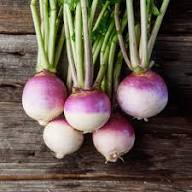 Swede Vegetable Seeds for Easy Planting