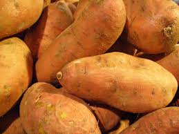 Red Orange Sweet Potato Seeds for Planting Ideal for Vegetable Gardens for Planting, Premium Seeds | Heirloom Non-GMO - Evergrowseeds