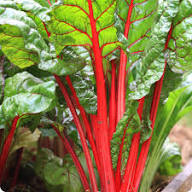 Swiss Chard Vegetable Seeds - Easy Planting