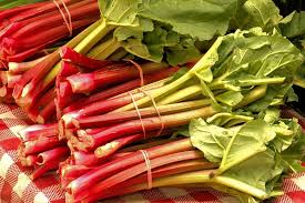 Ruibarbo Plant Seeds for Gardening and Planting: Grow Your Own Delicious Rhubarb!