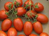 Red Opalka Vegetable Seeds - Easy Planting for Home Gardens