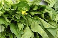 Chinese Mustard Seeds for Planting