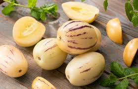 Pepino Solanum Muricatum Seeds  Ideal for Planting in Gardens & Containers