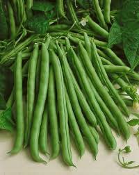 White Bean Planting Seeds for Your Garden