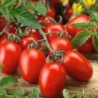 Grape Tomato Seeds - Delicious Vegetable Seeds for Your Garden