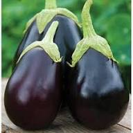Ophelia Eggplant Vegetable Seeds for Planting