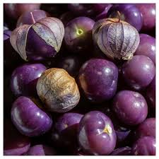 Purple Tomatillo Seeds for Easy Planting