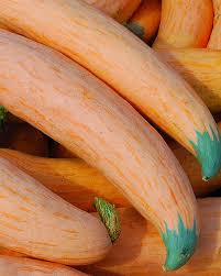 Georgia Candy Roaster Vegetable Seeds for Planting