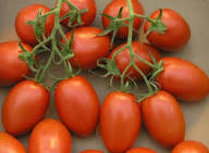 Grape Tomato Seeds - Delicious Vegetable Seeds for Your Garden