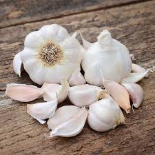 White Garlic Seeds - Perfect, Premium Seeds seed packet for home gardening