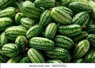 Green Scabra Vegetable Planting Seeds - Grow Fresh Greens