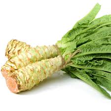 Celtuce Seeds for Planting | Grow Your Own Vegetable