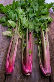 Pink Plume Celery Vegetable Seeds for Planting