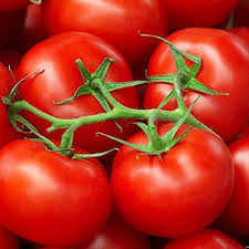 Zac Tomato Vegetable Seeds Planting