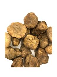 Truffle Vegetable Seeds for Easy Planting
