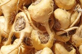 Maca Vegetable Seeds for Easy Planting