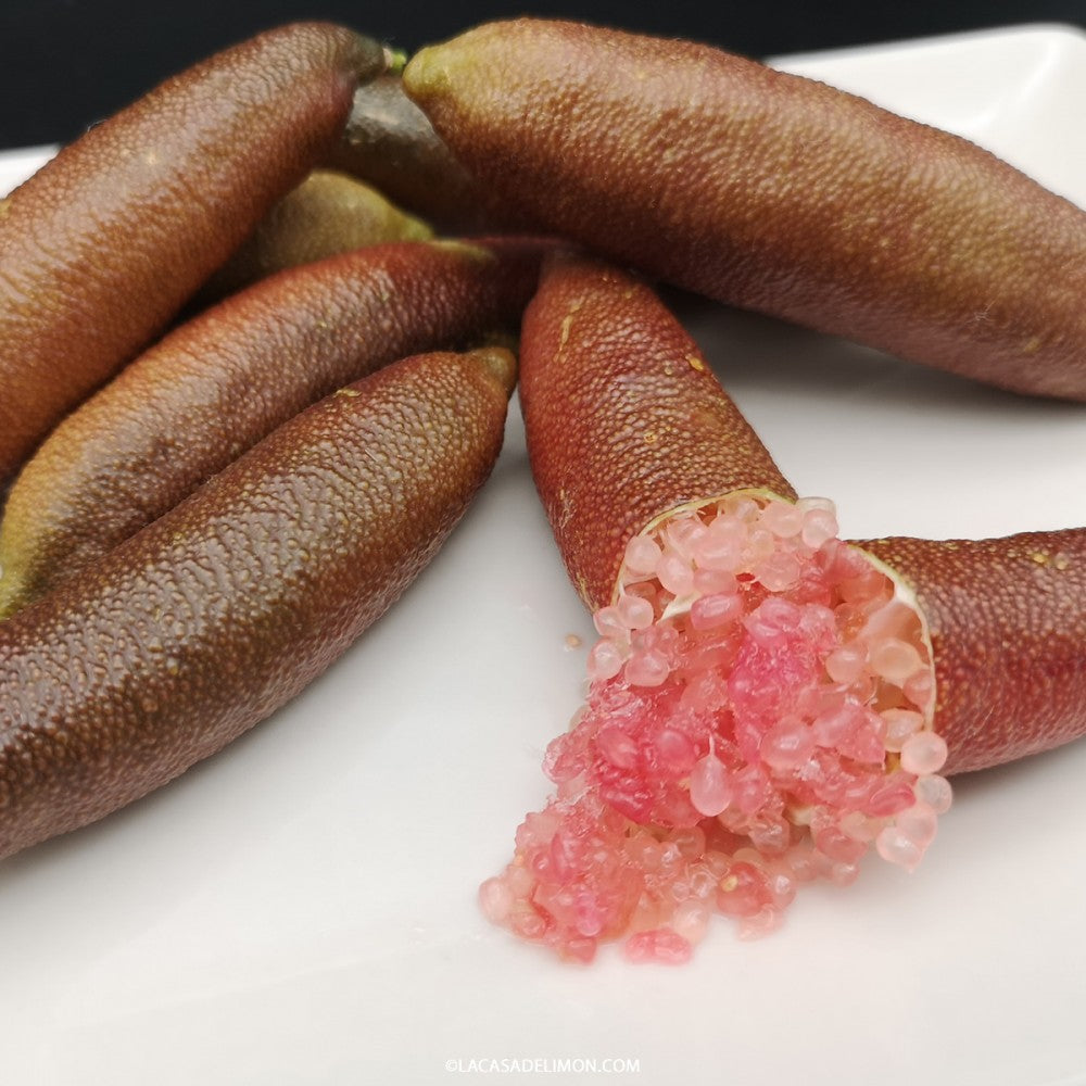 Finger Fruit Seeds - Planting Guide for Successful Growth Seeds