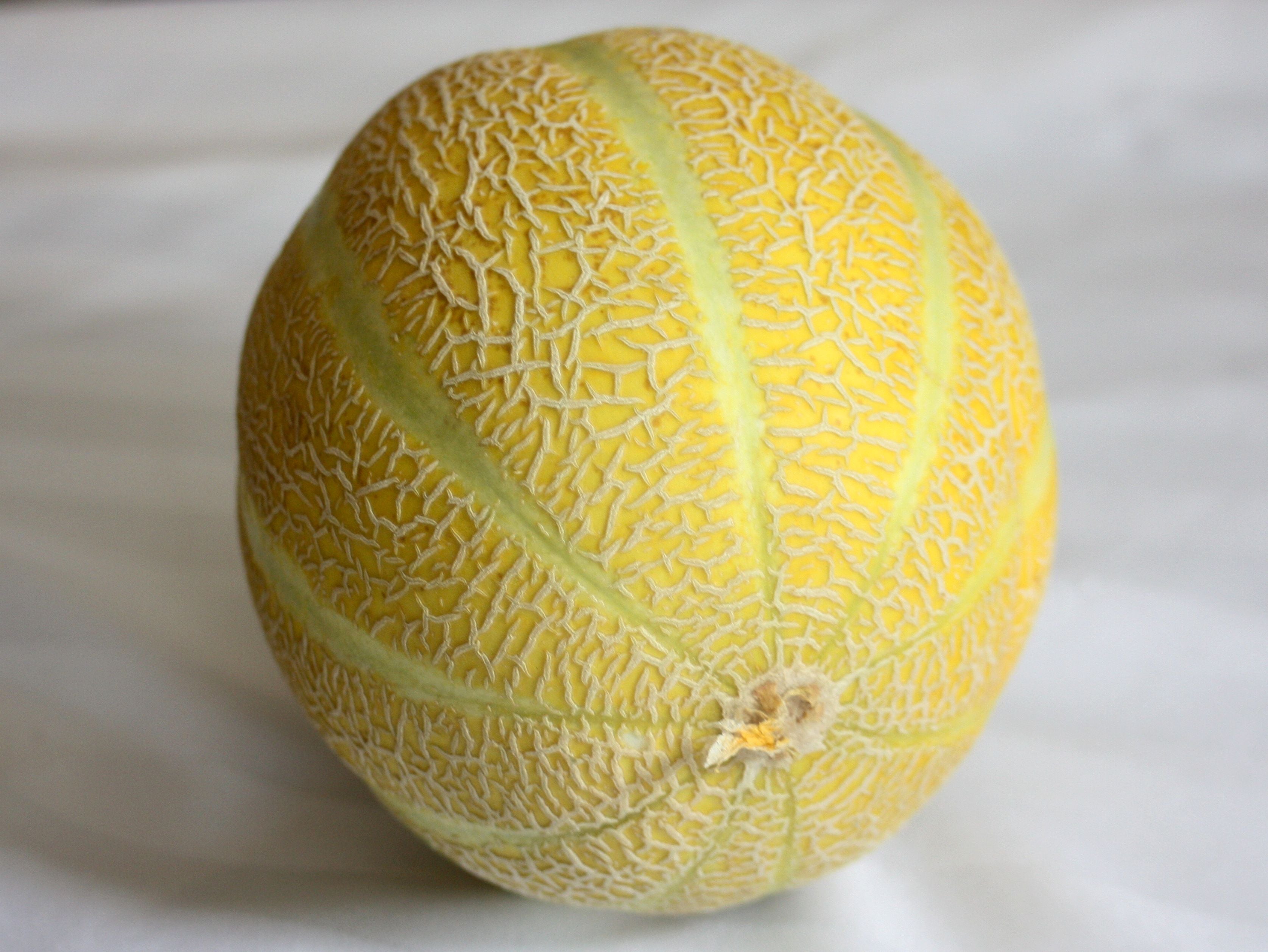 Lemon Drops Melon Cucumis melo Seeds for Planting in Garden & Orchard - Evergrowseeds