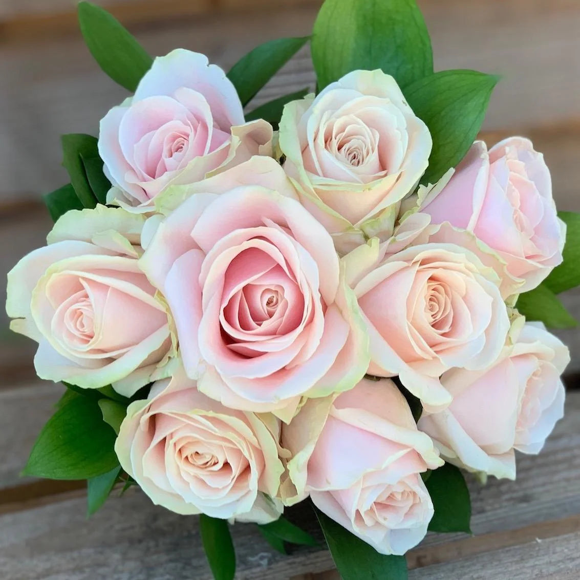 Pink Green Rose Flower Seeds for Planting Hardy Variety Heirloom & GMO Free Seeds for Home Garden
 
 Sale