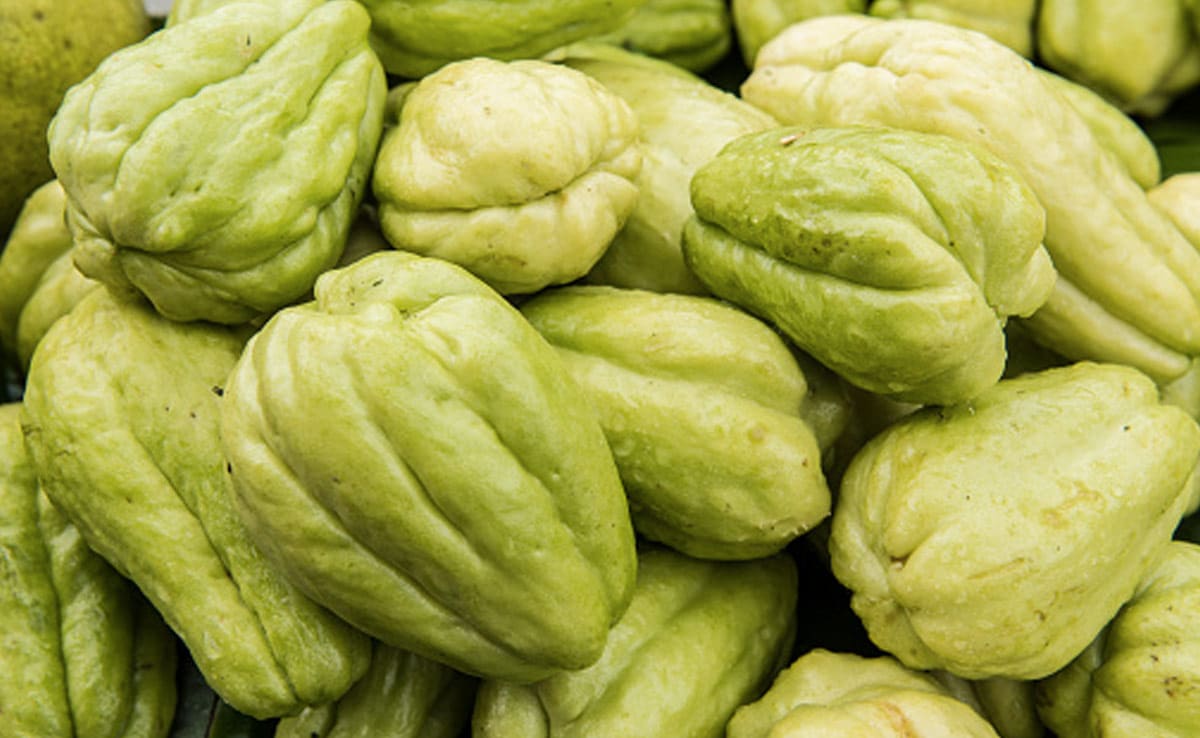 Chayote Seeds for Planting - Premium Vegetable Seeds