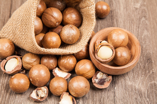 Macadamia Nut Tree (Macadamia integrifolia) seeds for planting