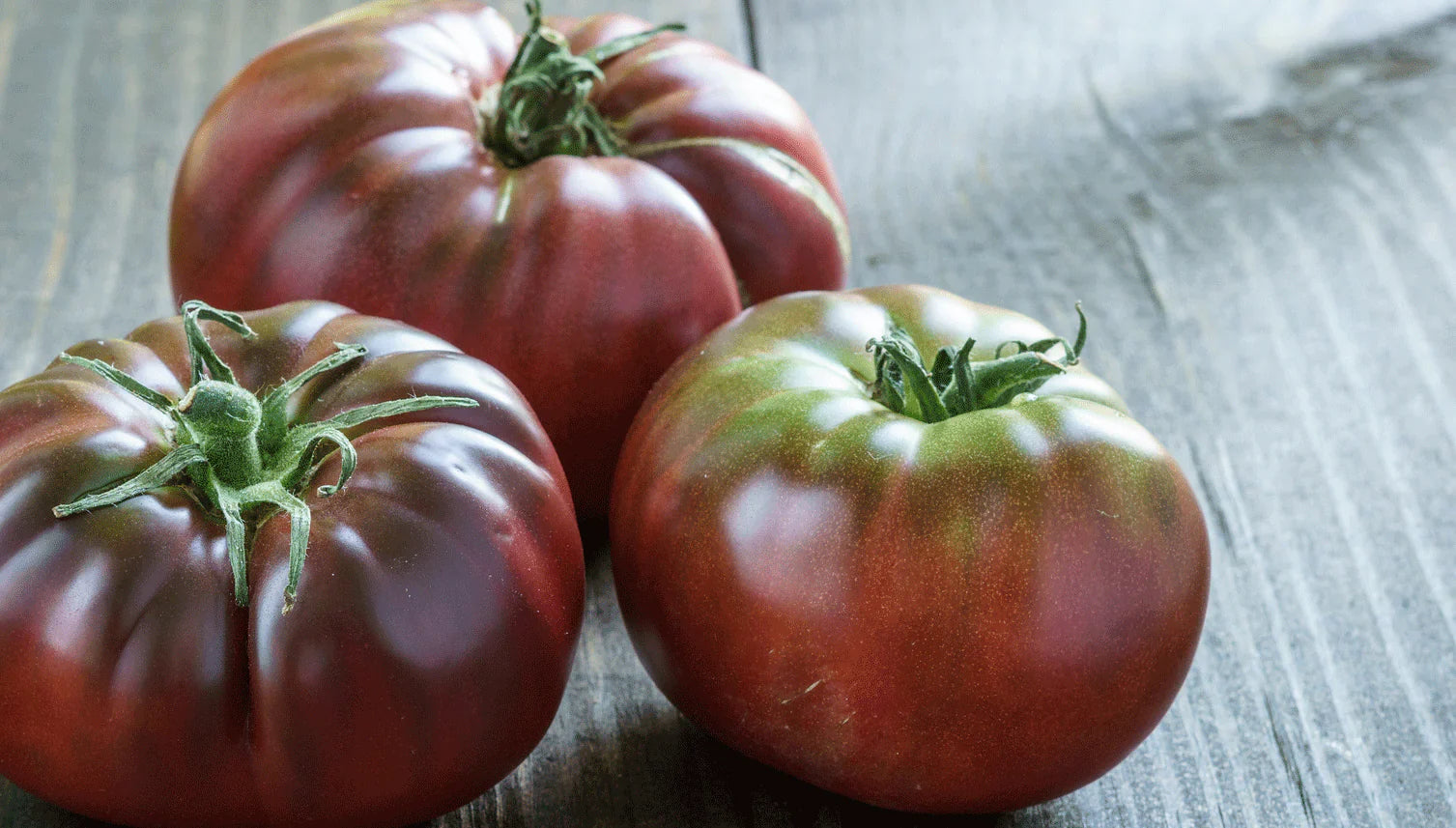 Harvest-ready Maroon Tomatoes from seeds