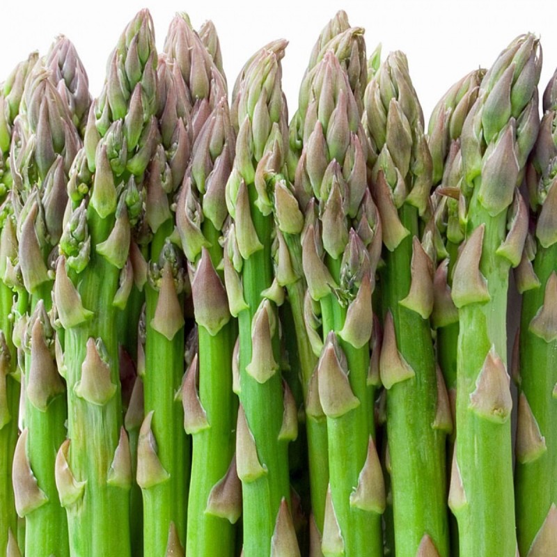Asparagus Seeds for Planting - Premium Vegetable Garden Seeds