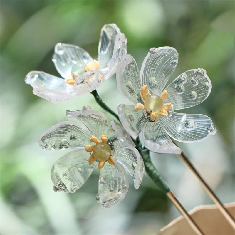 Skeleton Flower seeds for Planting Seasonal Bloomer Heirloom & GMO Free Seeds for Home Garden